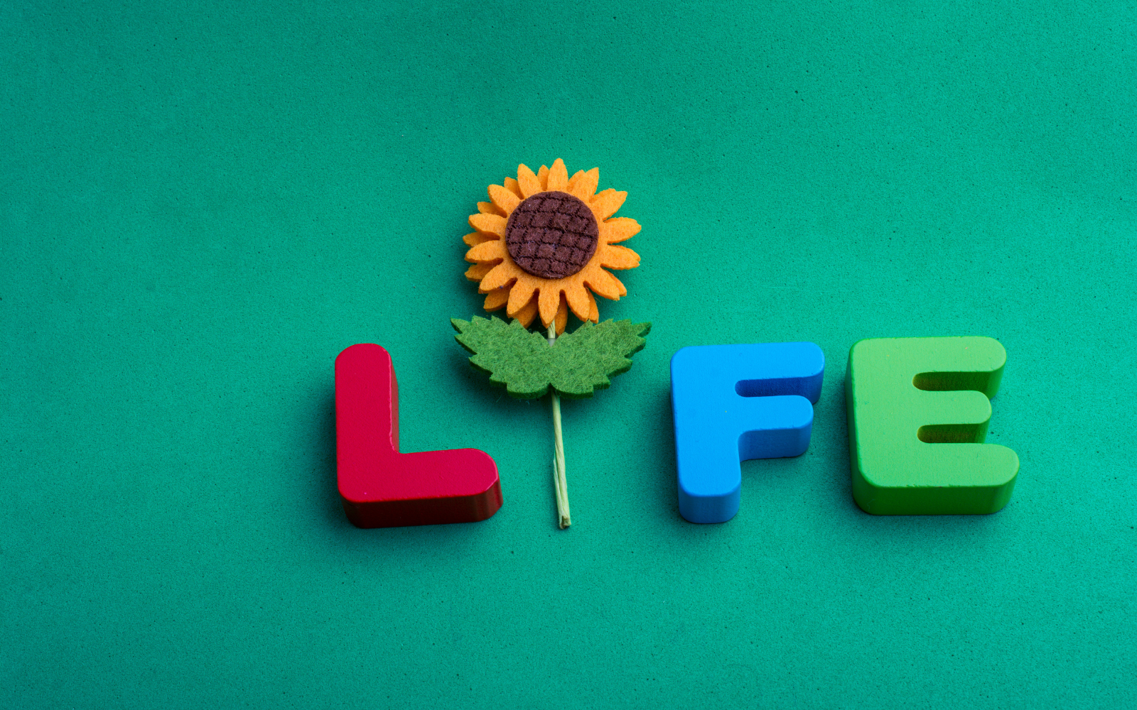 41 Powerful Life Insights Gained Over 41 Years of Growth