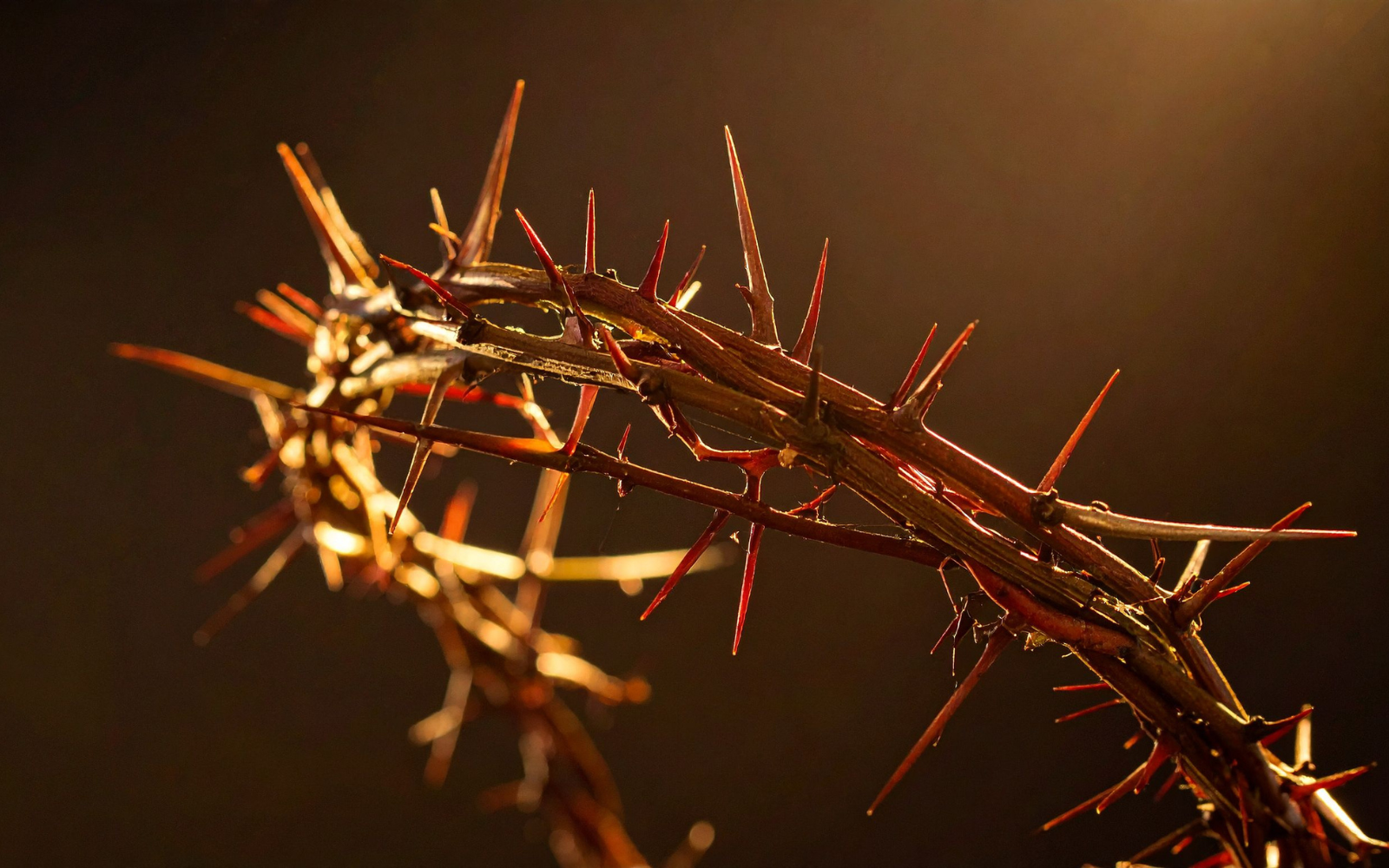 How Can Solopreneurs Turn Passion Into Profit and Purpose?